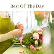 Best of the Day Bouquet