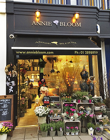 About Us - Annie Bloom Florist Dublin