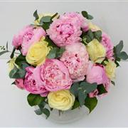 Peony Parade