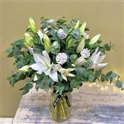 Lilies of Winter