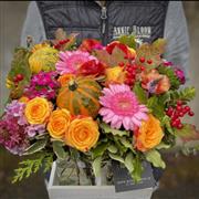 Autumn Blooming Marvellous