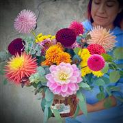 Dreamy Dahlias